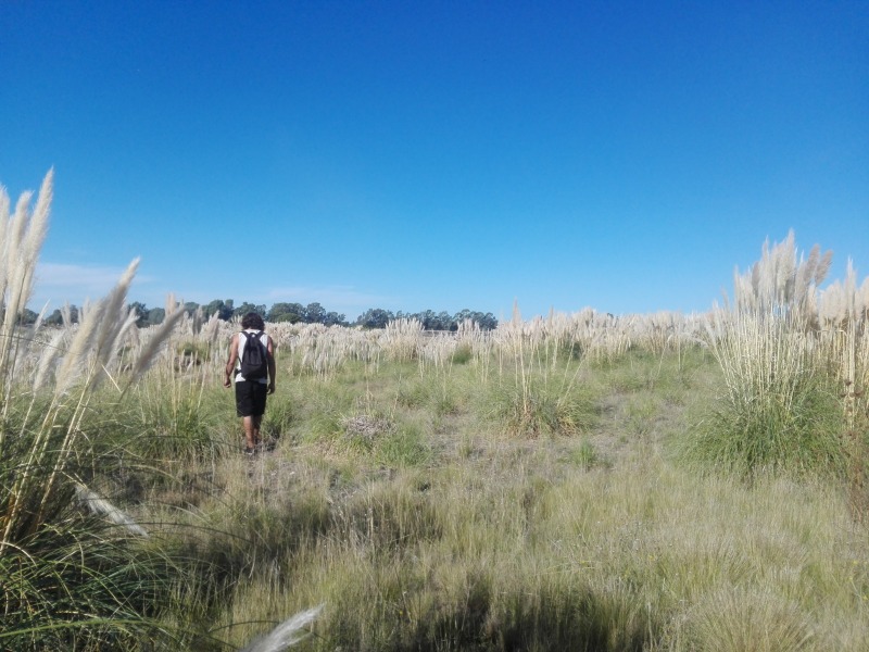 Olavarra y Provincia, con dficits de espacios naturales protegidos